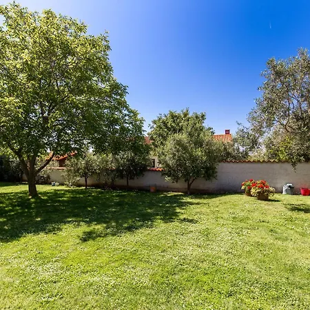 Spacious With Large Covered Terrace Apartment Medulin